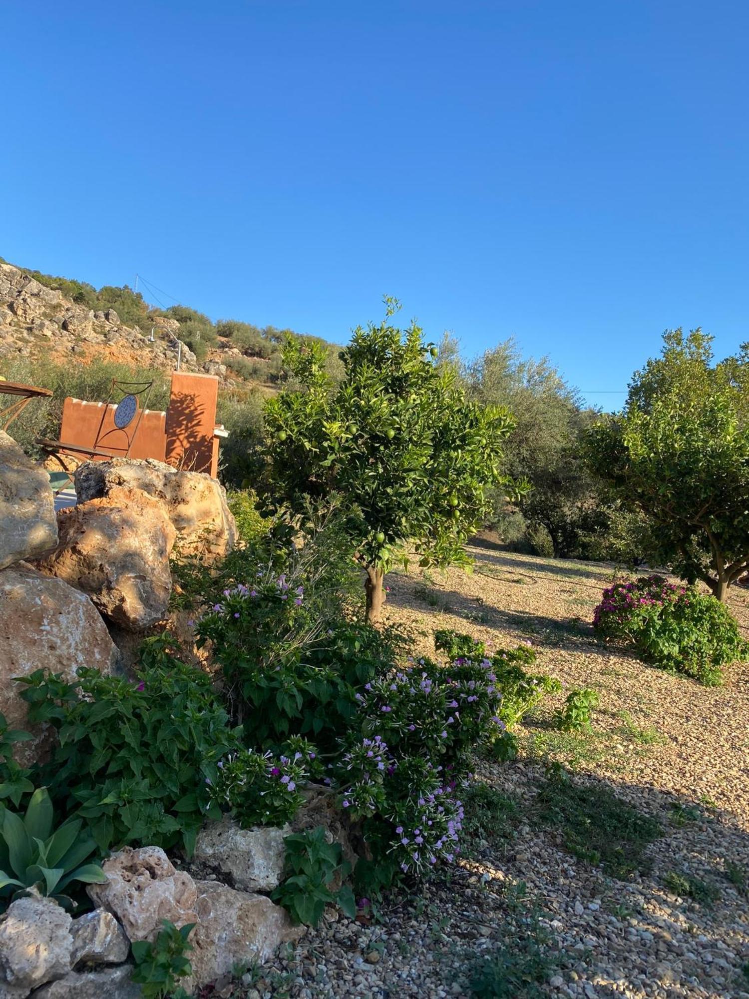 Casa Rural Antonio Y Esperanza Periana Exteriör bild
